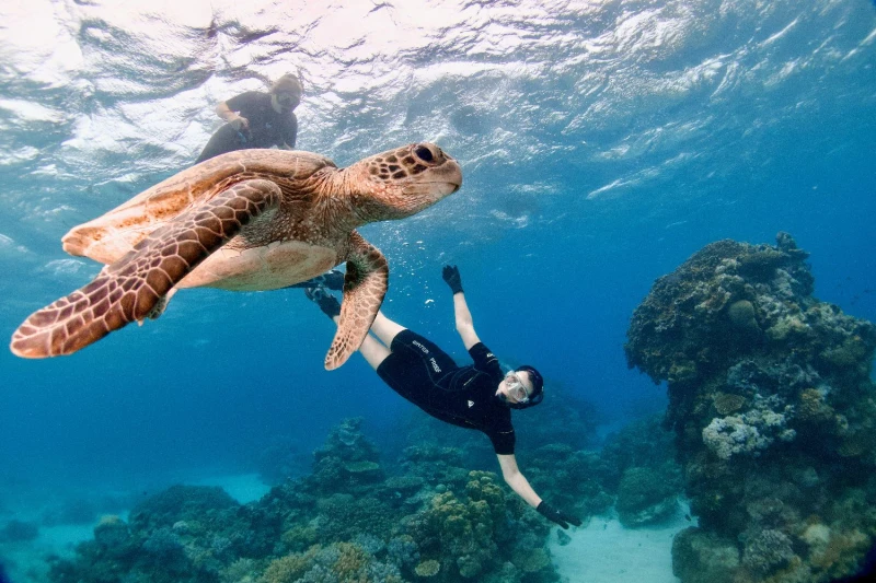 gallery x3a6xd9ly7rfmvpm8 18k