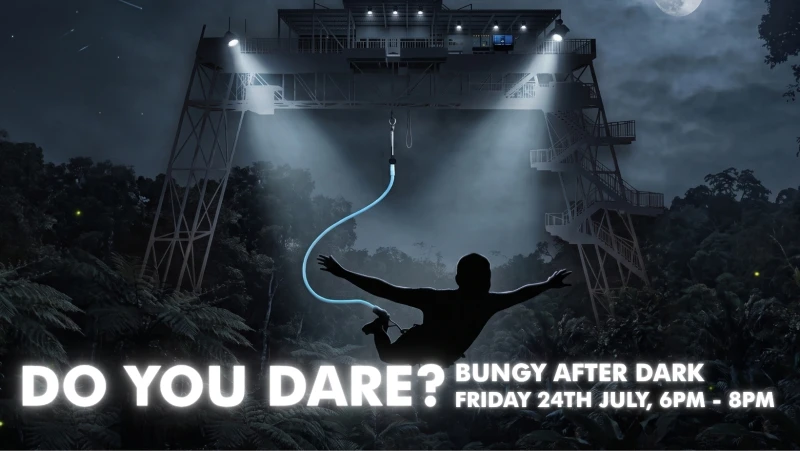 After Dark Artwork Facebook Cover